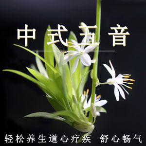 手机伊在人线香蕉2
